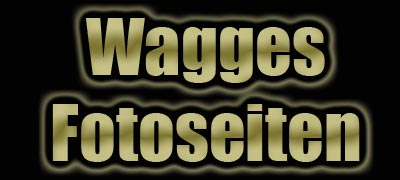 wagge.jpg